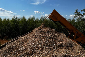 Grupo Eko - Lenha e Cavaco Especial de Eucalipto