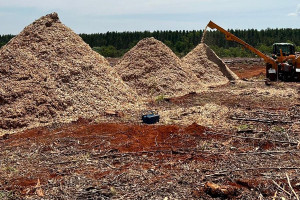 Grupo Eko - Lenha e Cavaco Especial de Eucalipto