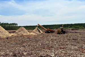 Grupo Eko - Lenha e Cavaco Especial de Eucalipto