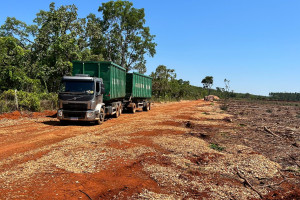 Grupo Eko - Lenha e Cavaco Especial de Eucalipto